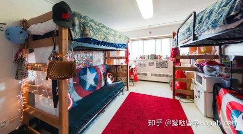 舌尖上的威斯康星 麥迪遜分校快餐文化中的學(xué)術(shù)與活力